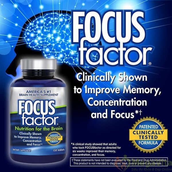 focus factor.3