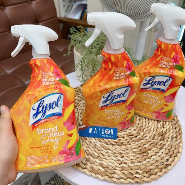 Lysol All Purpose Cleaner.2