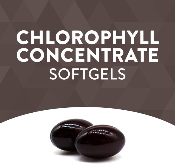 Chlorofresh gel.3