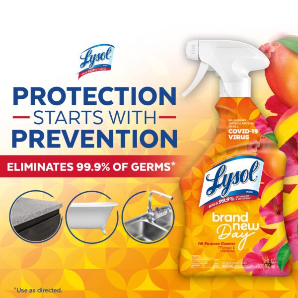 Lysol All Purpose Cleaner.20