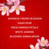 Japanese Blossom shimmer mist.3