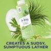 St.Ives body wash.36